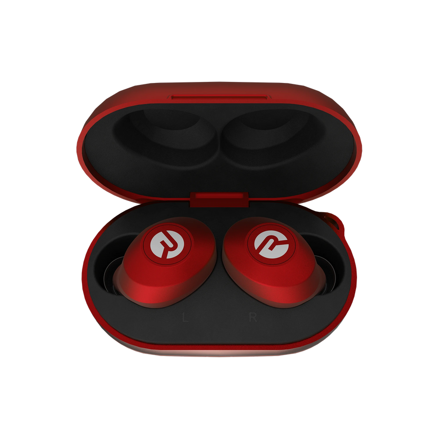 Raycon the everyday e25 earbuds 2025